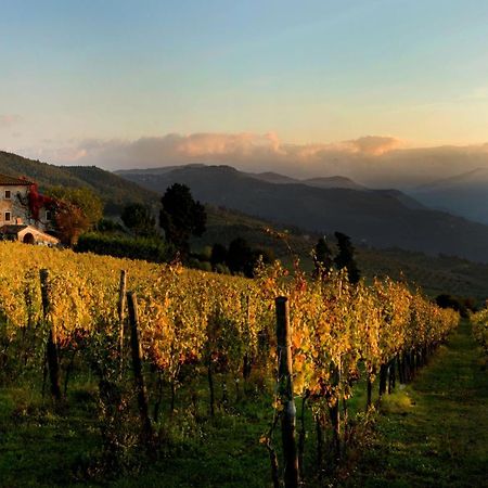 Agriturismo Fattoria Lavacchio Pontassieve Ngoại thất bức ảnh