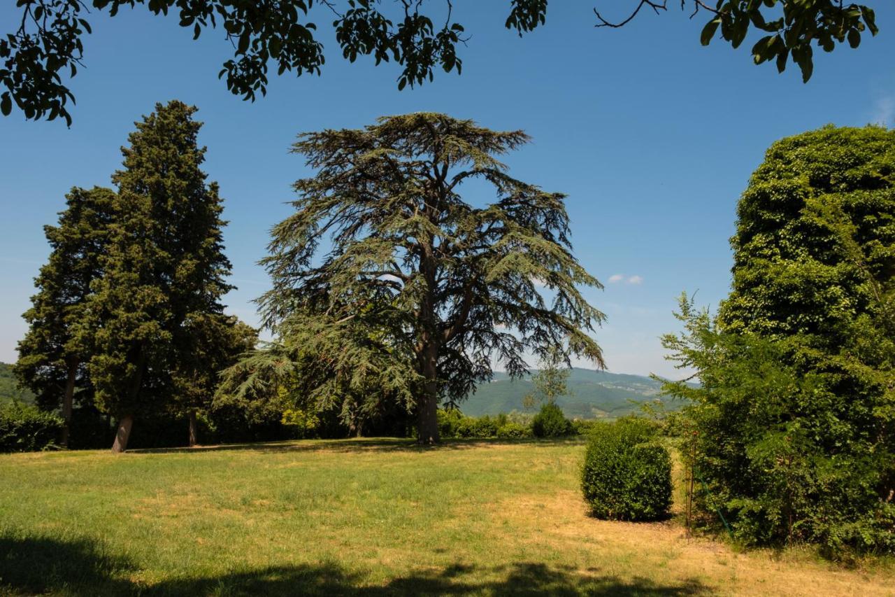 Agriturismo Fattoria Lavacchio Pontassieve Ngoại thất bức ảnh
