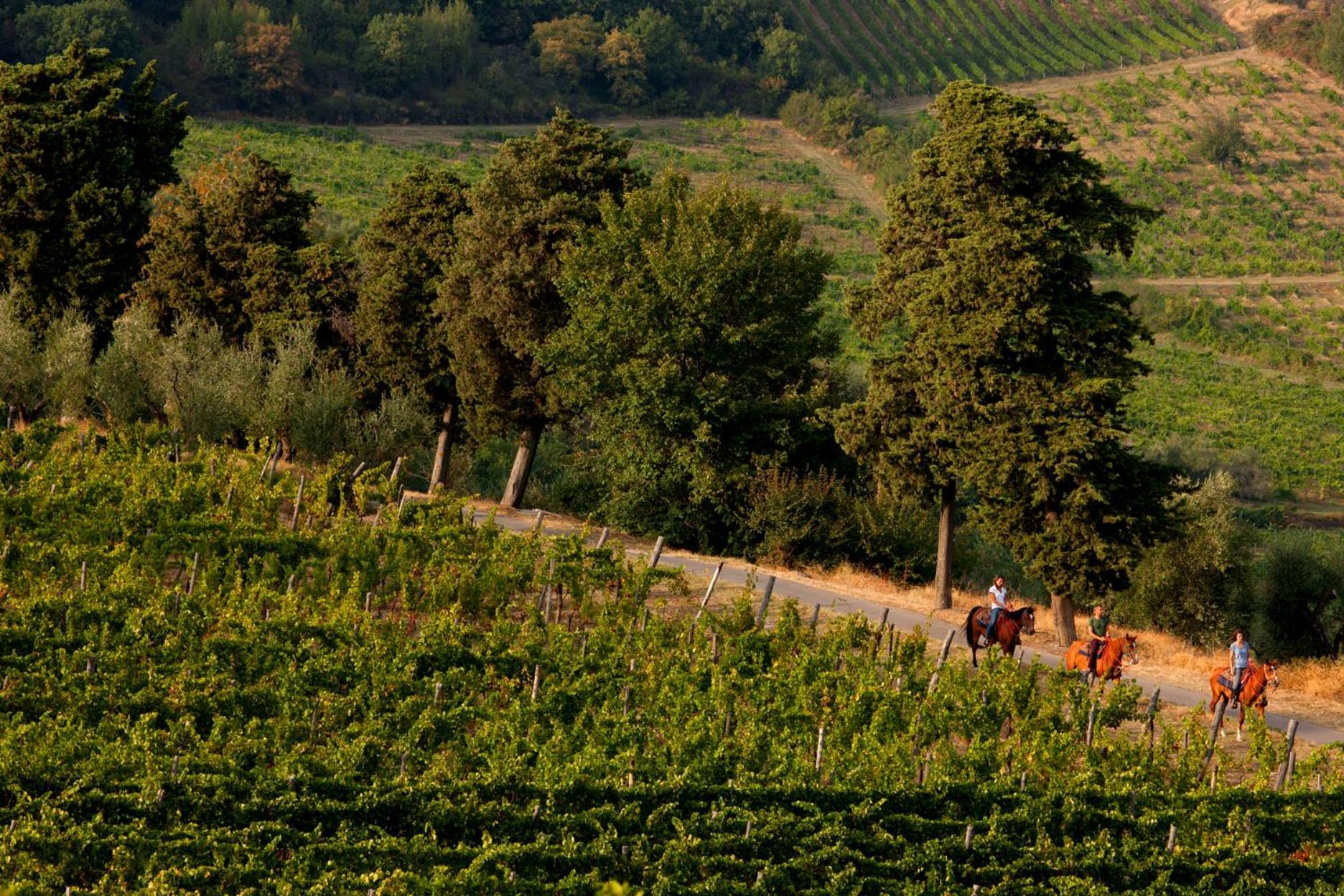 Agriturismo Fattoria Lavacchio Pontassieve Ngoại thất bức ảnh
