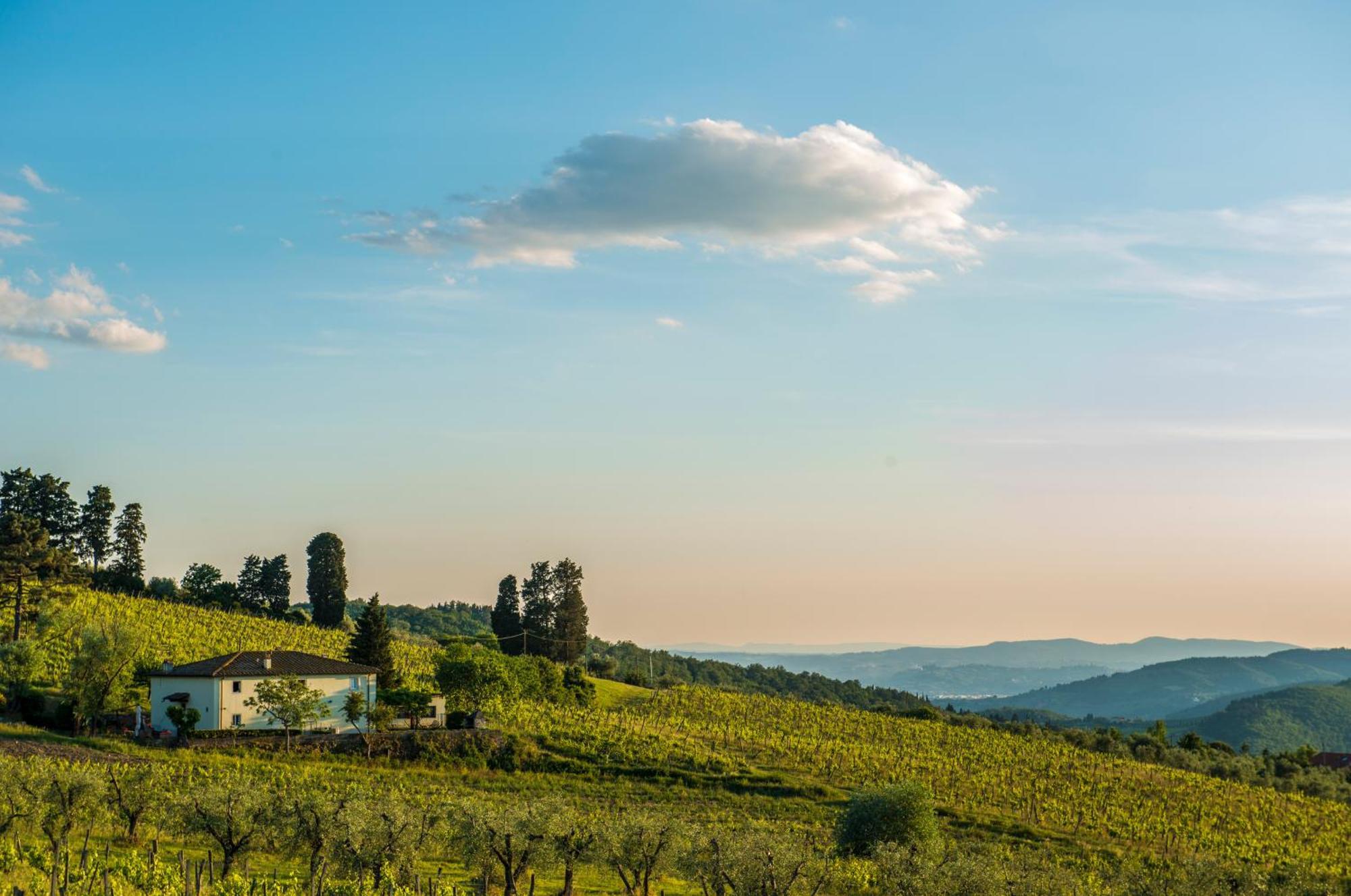 Agriturismo Fattoria Lavacchio Pontassieve Phòng bức ảnh