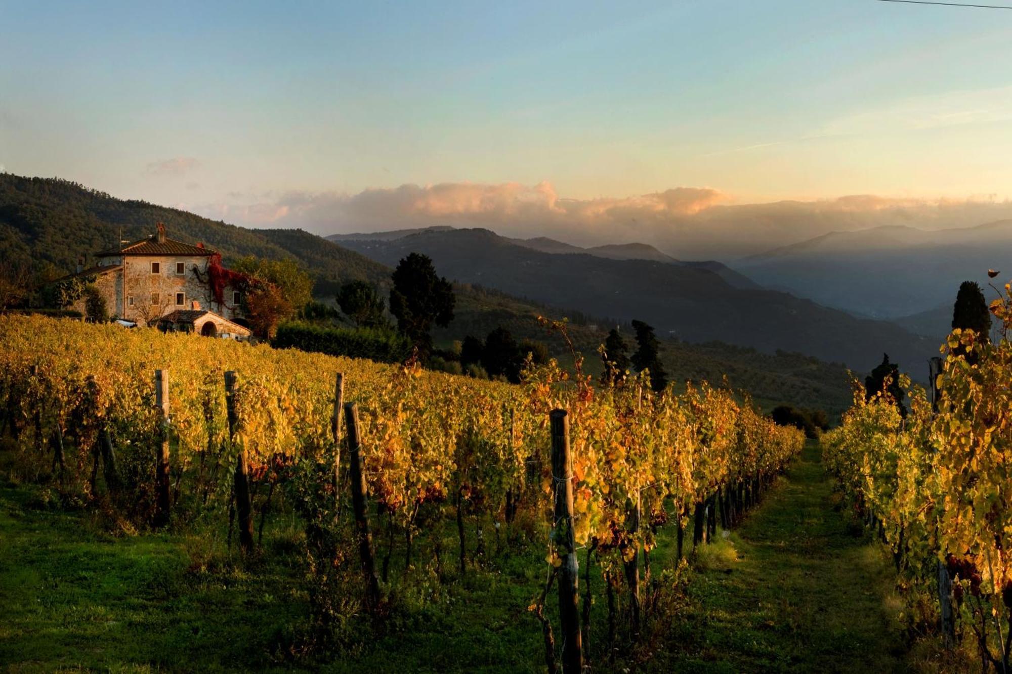 Agriturismo Fattoria Lavacchio Pontassieve Ngoại thất bức ảnh